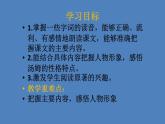 《汤姆 索亚历险记》优课一等奖教学课件