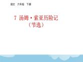 《汤姆·索亚历险记》优质课一等奖课件