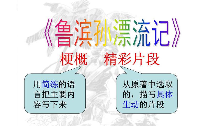 《鲁滨孙漂流记》优课一等奖课件第5页