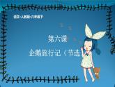 《企鹅旅行记》优质课一等奖课件