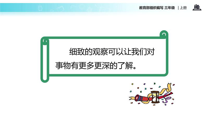 教学课件人教部编版三年级语文上册《我爱故乡的杨梅》（语文部编三上）05