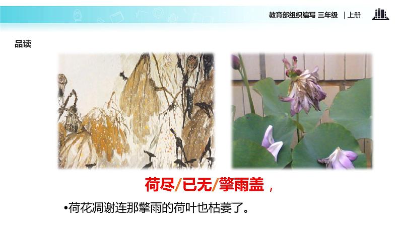 教学课件人教部编版三年级语文上册《赠刘景文》（语文部编三上）06