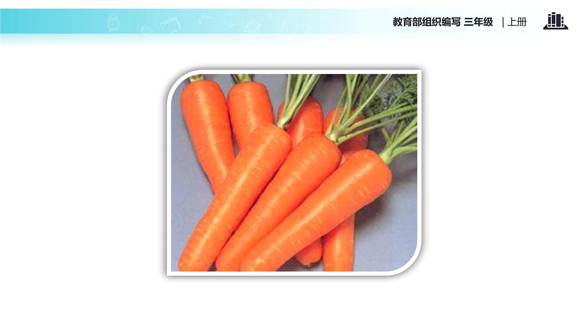 教学课件人教部编版三年级语文上册《胡萝卜先生的长胡子》（语文部编三上） (1)第3页