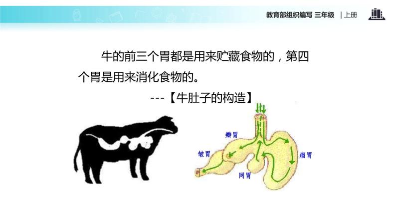 教学课件人教部编版三年级语文上册《在牛肚子里旅行》（语文部编三上）07