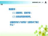教学课件人教部编版三年级语文上册《 美丽的小兴安岭》（语文部编三上）