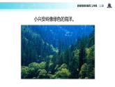 教学课件人教部编版三年级语文上册《美丽的小兴安岭》（语文部编三上）