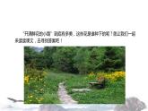教学课件人教部编版二年级语文下册《开满鲜花的小路》（部编）