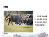 教学课件人教部编版二年级语文下册《大象的耳朵》（部编）