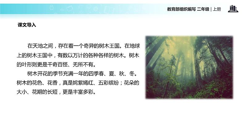 教学课件人教部编版二年级语文上册《树之歌》（部编）03