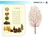 教学课件人教部编版二年级语文上册《树之歌》（语文部编二上）