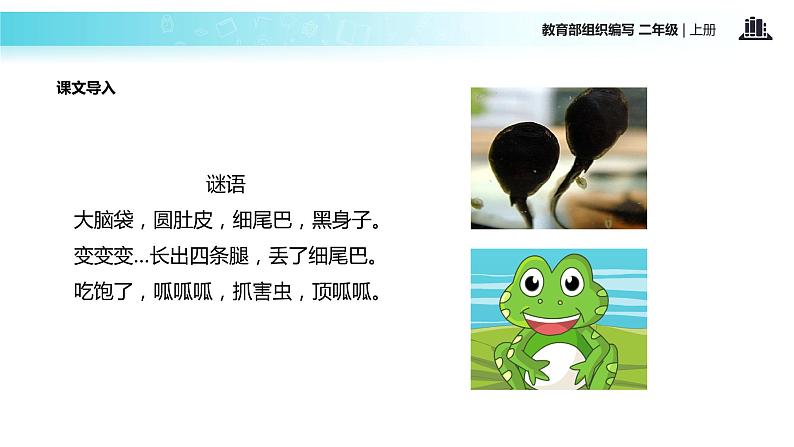 教学课件人教部编版二年级语文上册《小蝌蚪找妈妈》（部编）03