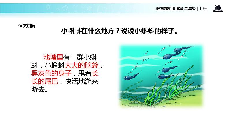 教学课件人教部编版二年级语文上册《小蝌蚪找妈妈》（部编）07