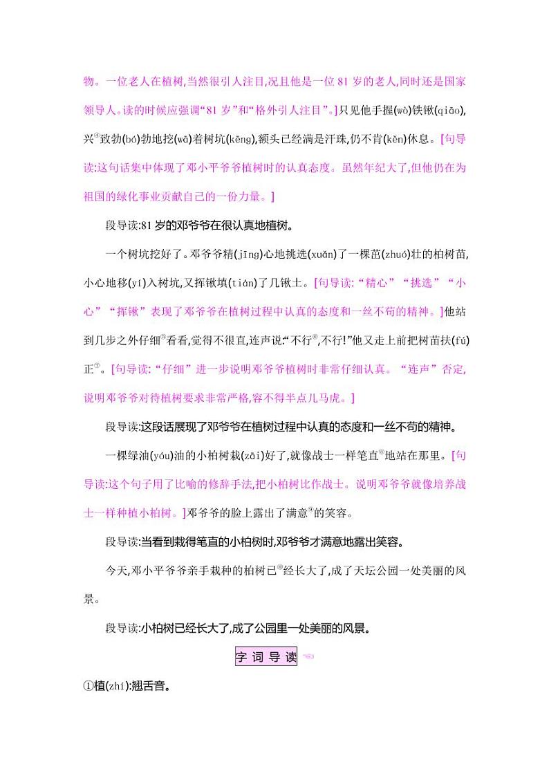 部编版人教版二年级语文下册《4邓小平爷爷植树》精品教案教学设计小学优秀公开课第2页