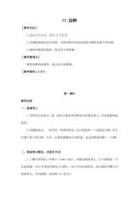 语文11 白桦教案