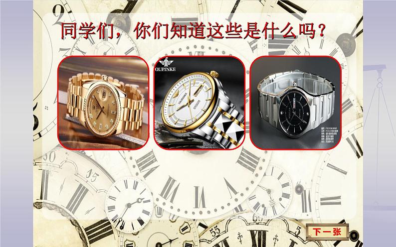 《表里的生物》公开课一等奖课件.ppt第1页