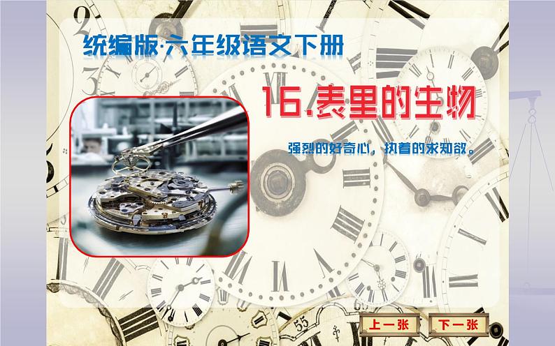 《表里的生物》公开课一等奖课件.ppt第4页