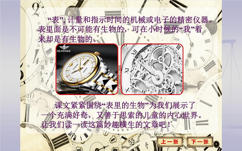 《表里的生物》公开课一等奖课件.ppt第5页