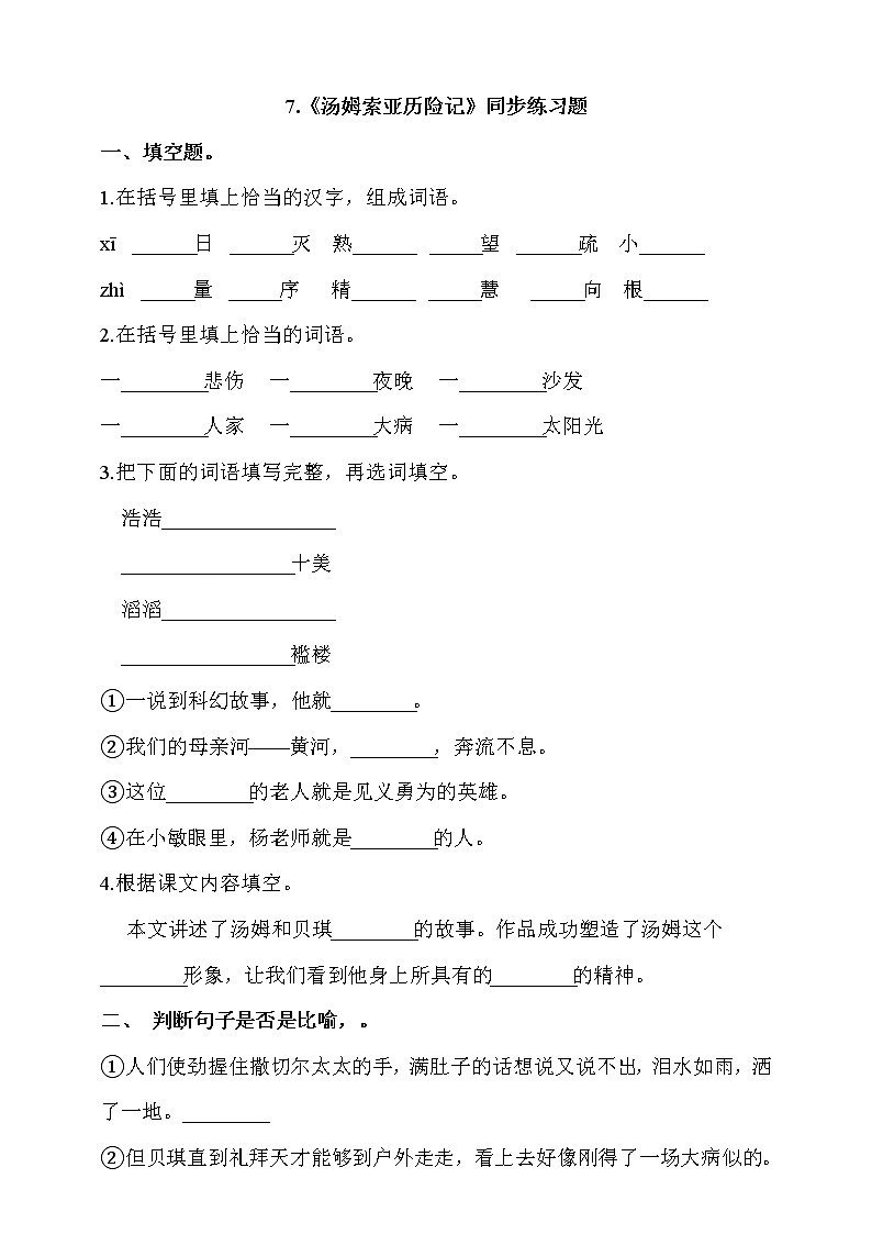 部编版六年级语文下册课课练 每课一练 7.《汤姆索亚历险记》同步练习题(含答案）01