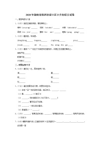 湖南省株洲市渌口区2020年小升初语文试卷 人教部编版（原卷 解析版）