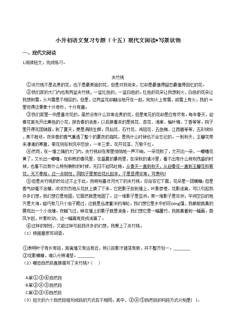 小升初语文复习专题（十五）现代文阅读•写景状物01