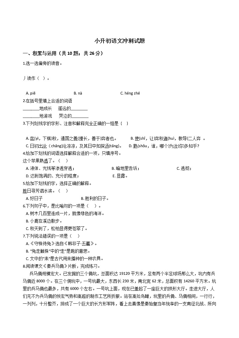 江苏省宿迁市小升初语文冲刺试题01