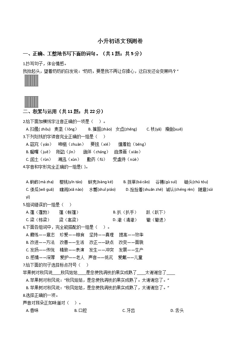 人教小升初语文预测卷（二）01