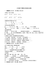 吉林省白城市六年级下学期小升初语文试卷