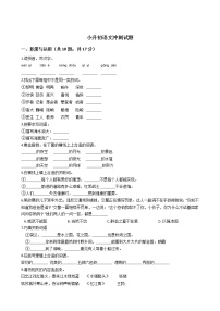 人教新课标版天津市名校小升初语文冲刺试题 (2)