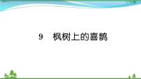 小学语文9 枫树上的喜鹊优秀课文作业课件ppt