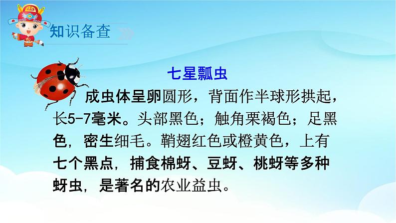 人教部编版一年级语文下册19《棉花姑娘》精品教学课件PPT小学优秀公开课5第4页