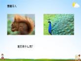 人教部编版一年级语文下册21《小壁虎借尾巴》精品教学课件PPT小学优秀公开课2