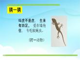 人教部编版一年级语文下册21《小壁虎借尾巴》精品教学课件PPT小学优秀公开课1