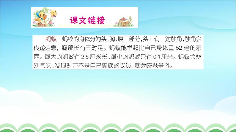 人教部编版一年级语文下册识字5《动物儿歌》精品教学课件PPT小学优秀公开课6第6页