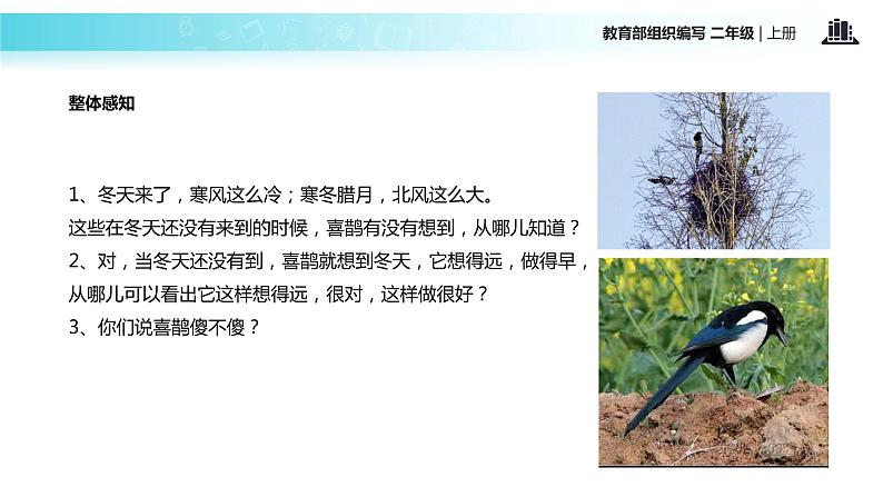 教学课件人教部编版二年级语文上册《寒号鸟》（部编）第6页