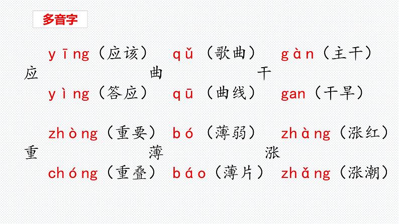 【复习总课件】部编版五年级语文下册《第八单元知识点梳理》PPT课件(共42张PPT)04