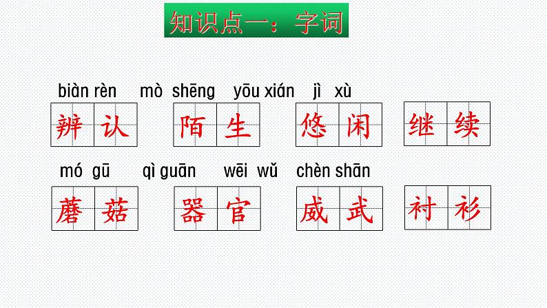 【复习总课件】部编版三年级语文下册《期末总复习知识点梳理》PPT课件(共64张PPT)08