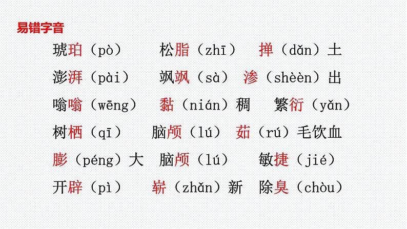 【复习总课件】部编版四年级语文下册《第二单元知识点梳理》PPT课件(共46张PPT)03