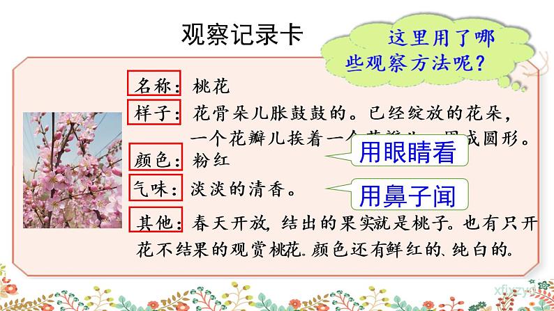 人教部编版小学语文三年级下册 习作：我的植物朋友 课件+教案02