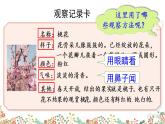 人教部编版小学语文三年级下册 习作：我的植物朋友 课件+教案