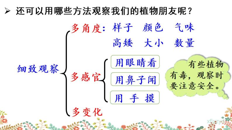 人教部编版三年级下册第一单元习作我的植物朋友多媒体教学课件ppt