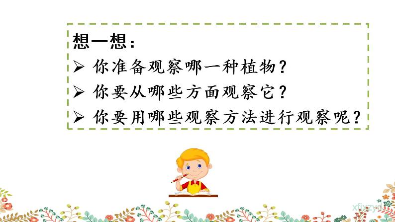 人教部编版小学语文三年级下册 习作：我的植物朋友 课件+教案04