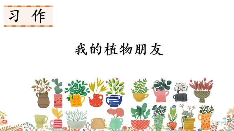 人教部编版小学语文三年级下册 习作：我的植物朋友 课件+教案06