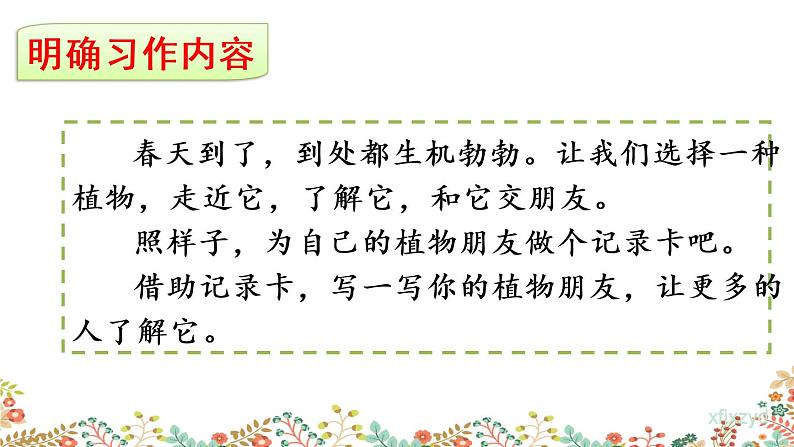 人教部编版小学语文三年级下册 习作：我的植物朋友 课件+教案08