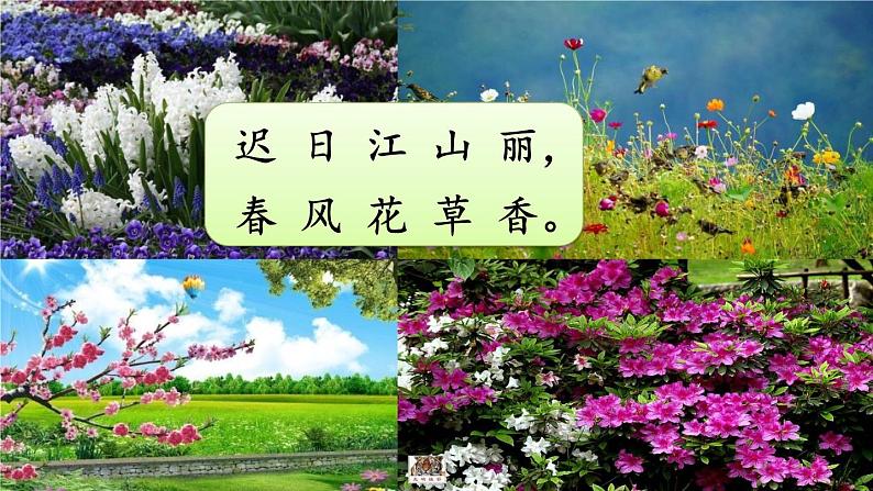 人教部编版小学语文三年级下册口语交际： 春游去哪儿玩 课件+教案02