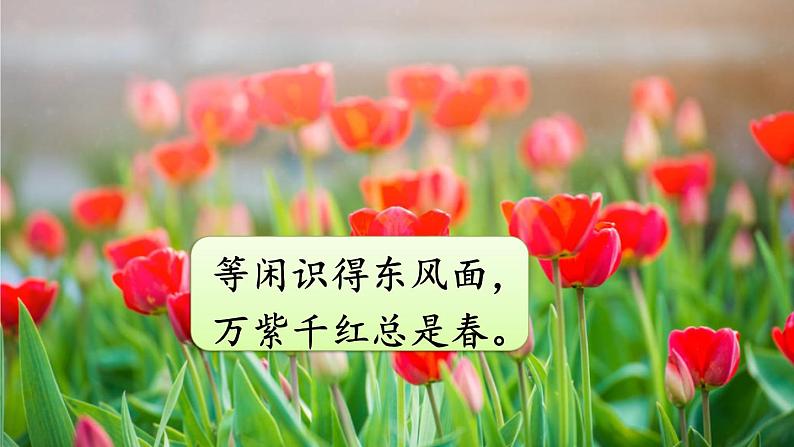 人教部编版小学语文三年级下册口语交际： 春游去哪儿玩 课件+教案05