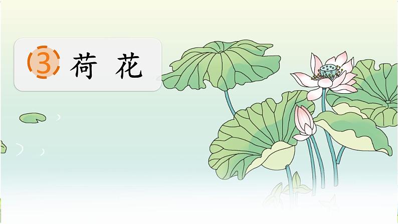 人教部编版小学语文三年级下册1.3《 荷花》课件+教案+素材02