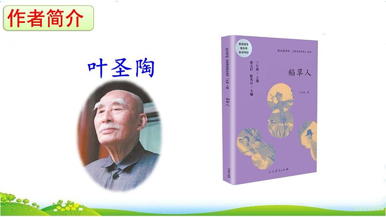 人教部编版小学语文三年级下册1.3《 荷花》课件+教案+素材03