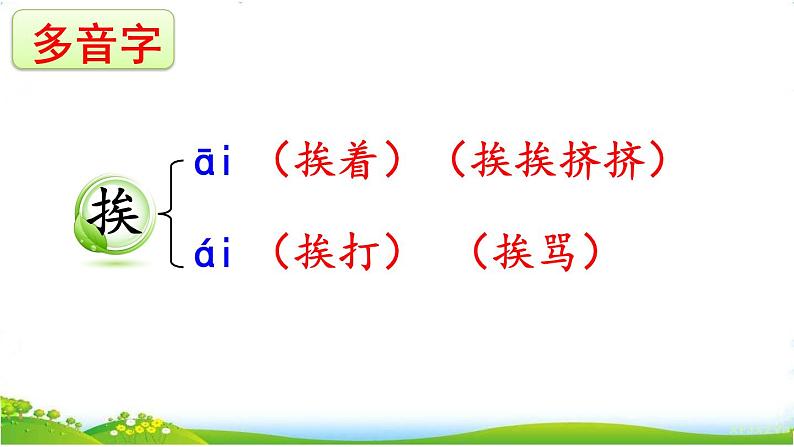 人教部编版小学语文三年级下册1.3《 荷花》课件+教案+素材07