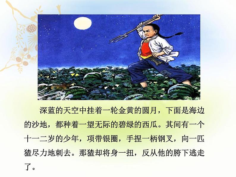 《少年闰土》PPT课件第5页