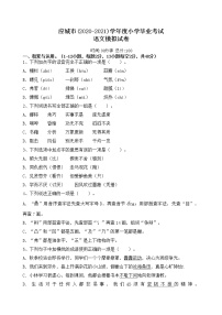 六年级下册语文试题-期末复习模拟（小考 升学考试）试卷    部编版  含答案